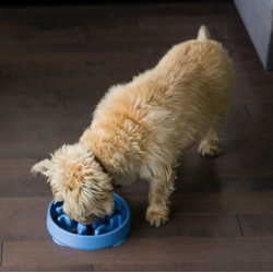 Outward Hound Fun Feeder Mini Miska spowalniająca niebieska - All4Animals