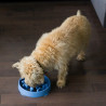 Outward Hound Fun Feeder Mini Miska spowalniająca niebieska - All4Animals