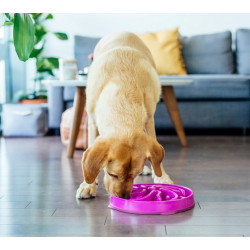 Outward Hound Fun Feeder Miska spowalniająca fioletowa - All4Animals