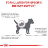 Royal Canin Veterinary Diet Canine Renal Small Dog 3,5kg - All4Animals