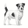 Royal Canin Veterinary Diet Canine Anallergenic Small 1,5kg - All4Animals