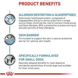 Royal Canin Veterinary Diet Canine Anallergenic Small 3kg - All4Animals