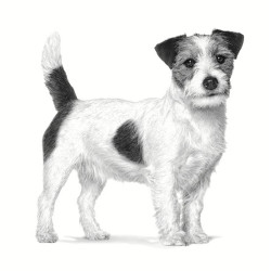 Royal Canin Veterinary Diet Canine Anallergenic Small 3kg - All4Animals