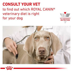 Royal Canin Veterinary Diet Canine Gastrointestinal Low Fat Small 1,5kg - All4Animals