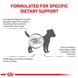Royal Canin Veterinary Diet Canine Gastrointestinal Low Fat Small 3,5kg - All4Animals