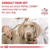 Royal Canin Veterinary Diet Canine Gastrointestinal Low Fat Small 3,5kg - All4Animals