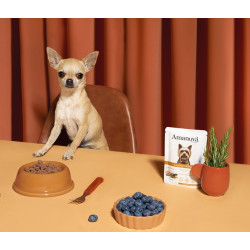 Amanova Dog Adult Exquisite Chicken - kurczak saszetka 300g - All4Animals