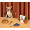 Amanova Dog Adult Exquisite Chicken - kurczak saszetka 300g - All4Animals