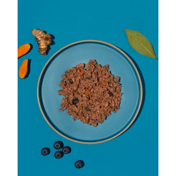 Amanova Dog Adult Iberian Pork - wieprzowina saszetka 300g - All4Animals