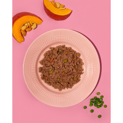 Amanova Dog Adult Tasty Salmon & Turkey - łosoś i indyk saszetka 300g - All4Animals