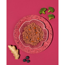 Amanova Dog Adult Turkey Delight - indyk saszetka 300g - All4Animals