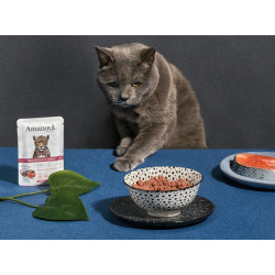 Amanova Cat Tasty Salmon & Turkey - łosoś i indyk saszetka 85g - All4Animals