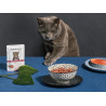 Amanova Cat Tasty Salmon & Turkey - łosoś i indyk saszetka 85g - All4Animals