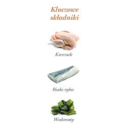 Amanova Cat Kitten Chicken & Fish - kurczak i biała ryba saszetka 85g - All4Animals