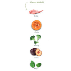 Amanova Cat Adult Divine Rabbit - królik 1,5kg - All4Animals