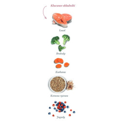Amanova Cat Sterilised Salmon Deluxe - łosoś 300g - All4Animals