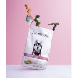 Amanova Dog Adult Sensitive Salmon Deluxe - łosoś 2kg - All4Animals
