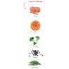 Amanova Dog Adult Sensitive Salmon Deluxe - łosoś 2kg - All4Animals