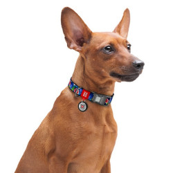 Collar WauDog Nylon Obroża nylonowa z QR-paszportem, plastikowy fastex, wzór FIGA, M 20mm/28-40cm - All4Animals
