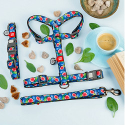 Collar WauDog Nylon Obroża nylonowa z QR-paszportem, plastikowy fastex, wzór FIGA, M 20mm/28-40cm - All4Animals