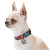 Collar WauDog Nylon Obroża nylonowa z QR-paszportem, plastikowy fastex, wzór LATO, 15mm/25-35cm - All4Animals