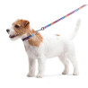 Collar WauDog Nylon Obroża nylonowa z QR-paszportem, plastikowy fastex, wzór LATO, 15mm/25-35cm - All4Animals