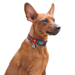 Collar WauDog Nylon Obroża nylonowa z QR-paszportem, plastikowy fastex, wzór LATO, 25mm/37-58cm - All4Animals