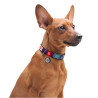 Collar WauDog Nylon Obroża nylonowa z QR-paszportem, plastikowy fastex, wzór NASA, 20mm/28-40cm - All4Animals