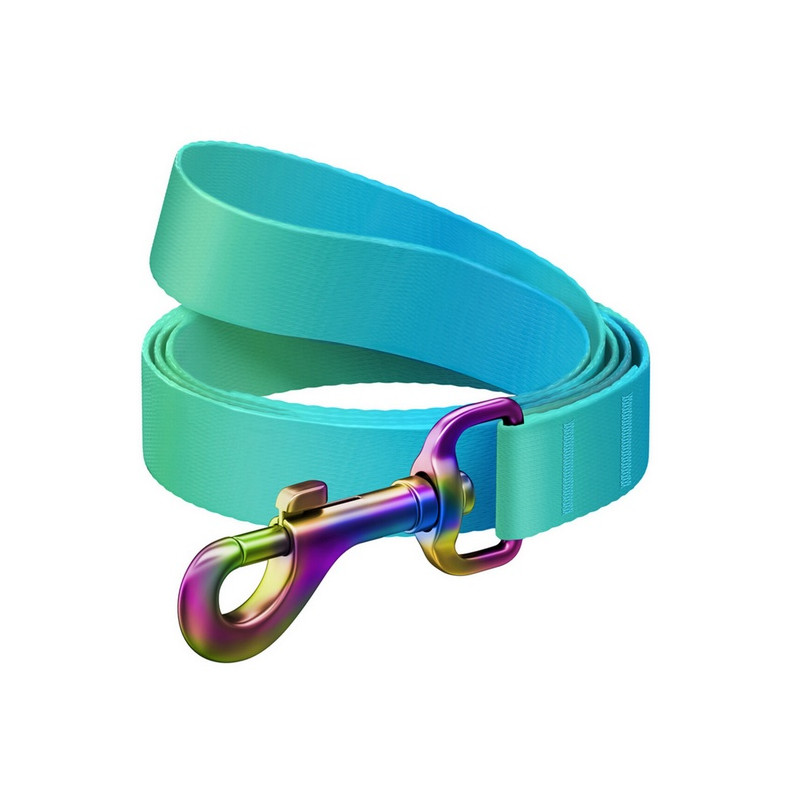 Collar WauDog Recycled Smycz nylonowa, gradient M 20mm/122cm niebieski - All4Animals