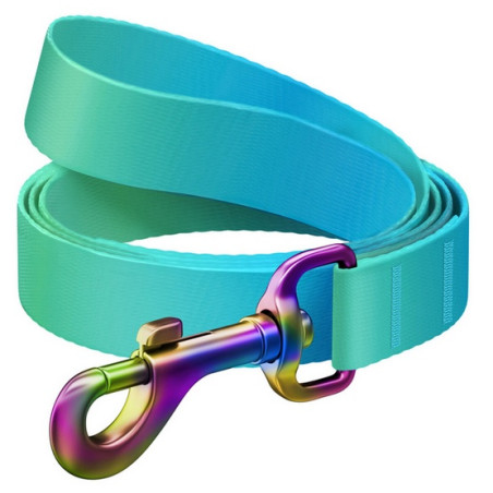 Collar WauDog Recycled Smycz nylonowa, gradient M 20mm/122cm niebieski - All4Animals