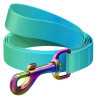 Collar WauDog Recycled Smycz nylonowa, gradient M 20mm/122cm niebieski - All4Animals