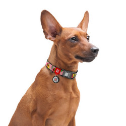 Collar WauDog Nylon Obroża nylonowa z QR-paszportem, plastikowy fastex, wzór AWOKADO NA RÓŻU, M 20mm/28-40cm - All4Animals