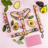 Collar WauDog Nylon Obroża nylonowa z QR-paszportem, plastikowy fastex, wzór AWOKADO NA RÓŻU, M 20mm/28-40cm - All4Animals