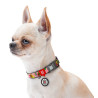 Collar WauDog Nylon Obroża nylonowa z QR-paszportem, plastikowy fastex, wzór AWOKADO NA RÓŻU, S 15mm/25-35cm - All4Animals
