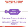 Royal Canin Sterilised 7+ karma sucha dla kotów dorosłych, od 7 do 12 roku życia, sterylizowanych 3,5kg - All4Animals