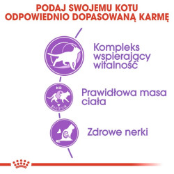 Royal Canin Sterilised 7+ karma sucha dla kotów dorosłych, od 7 do 12 roku życia, sterylizowanych 3,5kg - All4Animals