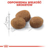 Royal Canin Sterilised 7+ karma sucha dla kotów dorosłych, od 7 do 12 roku życia, sterylizowanych 3,5kg - All4Animals