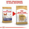 Royal Canin Chihuahua Adult karma sucha dla psów dorosłych rasy chihuahua 0,5kg - All4Animals
