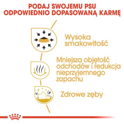 Royal Canin Chihuahua Adult karma sucha dla psów dorosłych rasy chihuahua 0,5kg - All4Animals