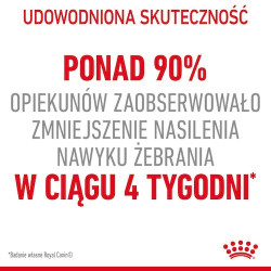 Royal Canin Appetite Control Care karma sucha dla kotów dorosłych, domagających się jedzenia 2kg - All4Animals