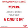 Royal Canin Urinary Care karma sucha dla kotów dorosłych, ochrona dolnych dróg moczowych 2kg - All4Animals