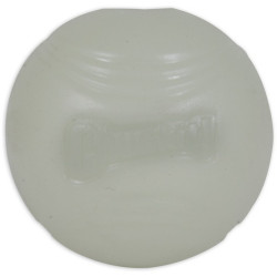 Chuckit! Max Glow Ball Small - All4Animals
