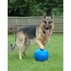 Boomer Ball M - 6" / 15cm niebieska - All4Animals