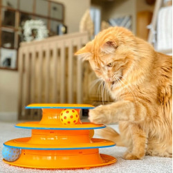 Petstages Wieża pełna przygód PS317 - All4Animals