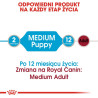 Royal Canin Medium Puppy karma mokra w sosie dla szczeniąt, od 2 do 12 miesiąca, ras średnich 140g - All4Animals