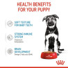 Royal Canin Maxi Puppy karma mokra w sosie dla szczeniąt, od 2 do 15 miesiąca życia, ras dużych saszetka 140g - All4Animals
