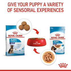 Royal Canin Maxi Puppy karma mokra w sosie dla szczeniąt, od 2 do 15 miesiąca życia, ras dużych saszetka 140g - All4Animals