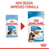 Royal Canin Maxi Puppy karma mokra w sosie dla szczeniąt, od 2 do 15 miesiąca życia, ras dużych saszetka 140g - All4Animals