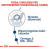 Royal Canin Maxi Adult karma mokra w sosie dla psów dorosłych, do 5 roku życia, ras dużych saszetka 140g - All4Animals