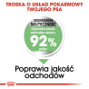 Royal Canin Mini Digestive Care karma sucha dla psów dorosłych, ras małych o wrażliwym przewodzie pokarmowym 3kg - All4Animals